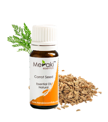 Buy Carrot Seed Essential Oil In India