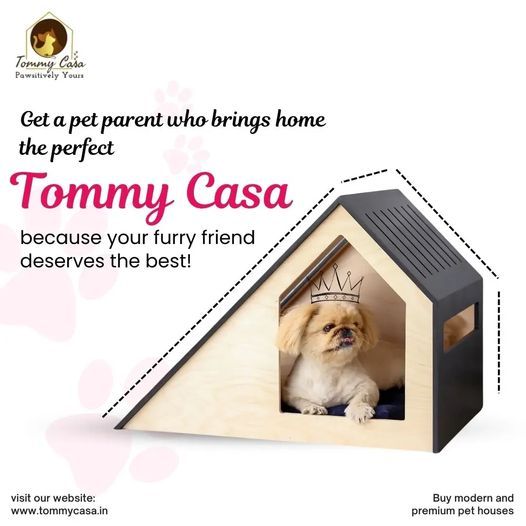 Premium Dog House in India – Durable & Stylish Dog Houses by Tommy Casa