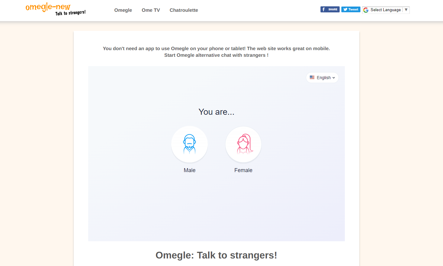 The Omegle New