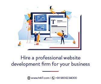 Hire a professional website development firm for your business | Hih7 Webtech