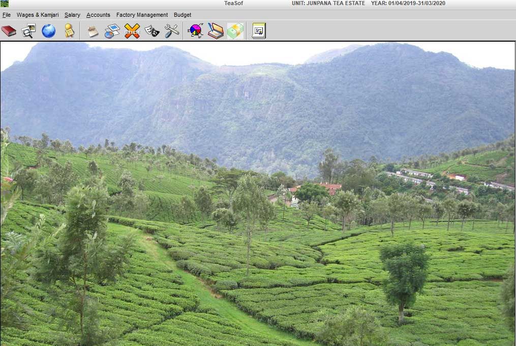 Tea Garden Software, Tea Garden Management system by  EBS Software Solution.