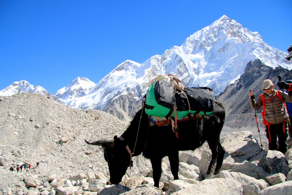 Best Tips For Everest Three Pass Trek in Nepal