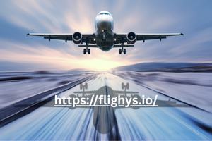 Fly the Smart Way with Flighys