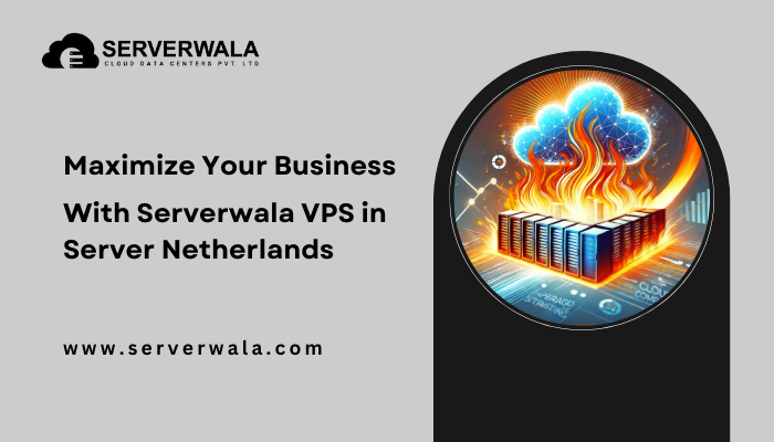 Maximize Your Business With Serverwala VPS Server in Netherlands 