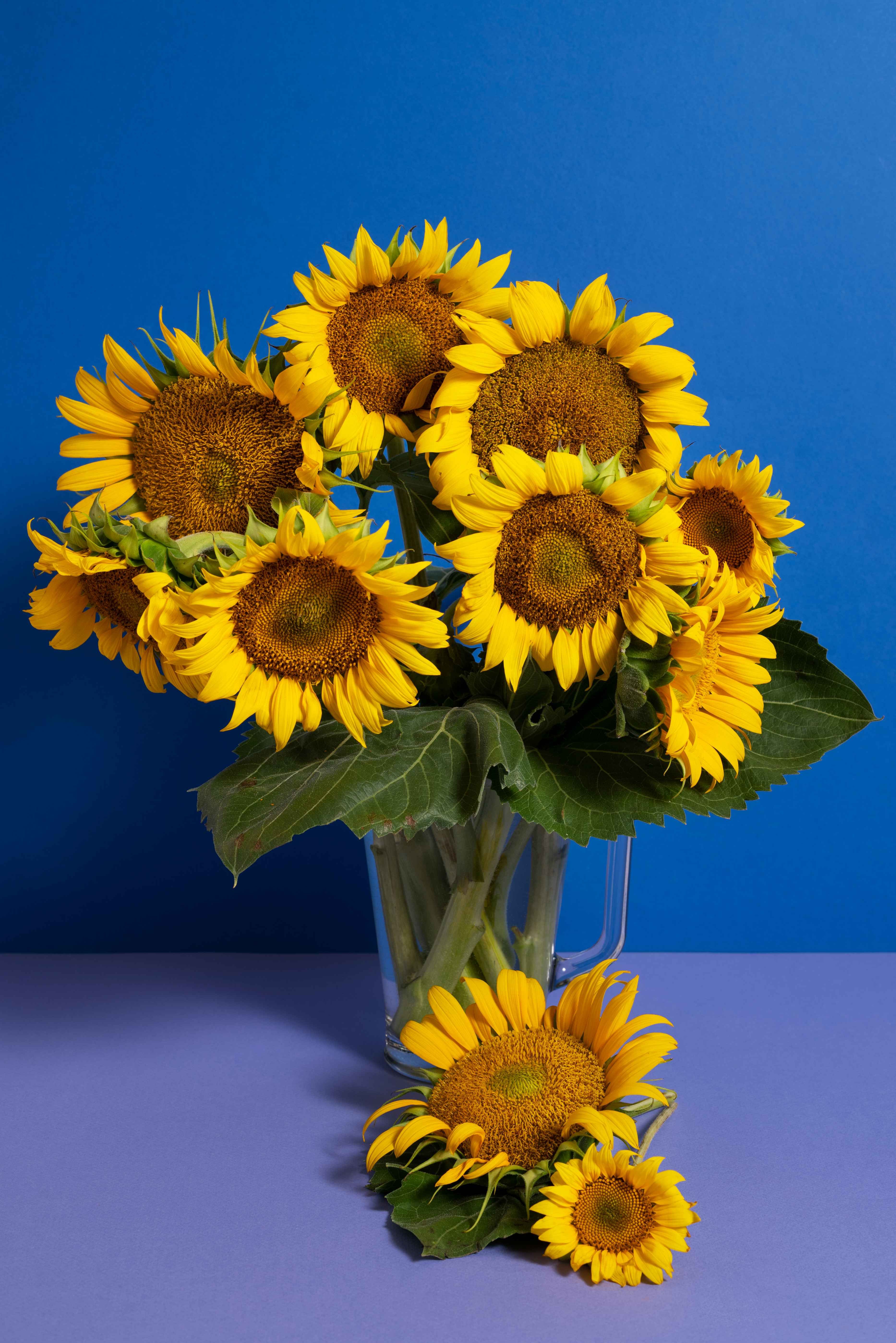 Brighten Every Moment with a Sunflower Bouquet in Singapore 