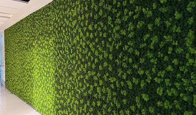 Expert Commercial Landscaping Company for Businesses - Greenlands 