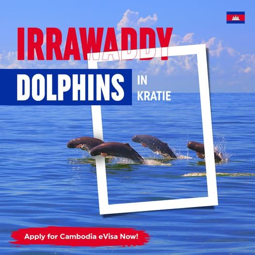 FOR THAILAND CITIZENS -  CAMBODIA Easy and Simple Cambodian Visa - Cambodian Visa Application Center 