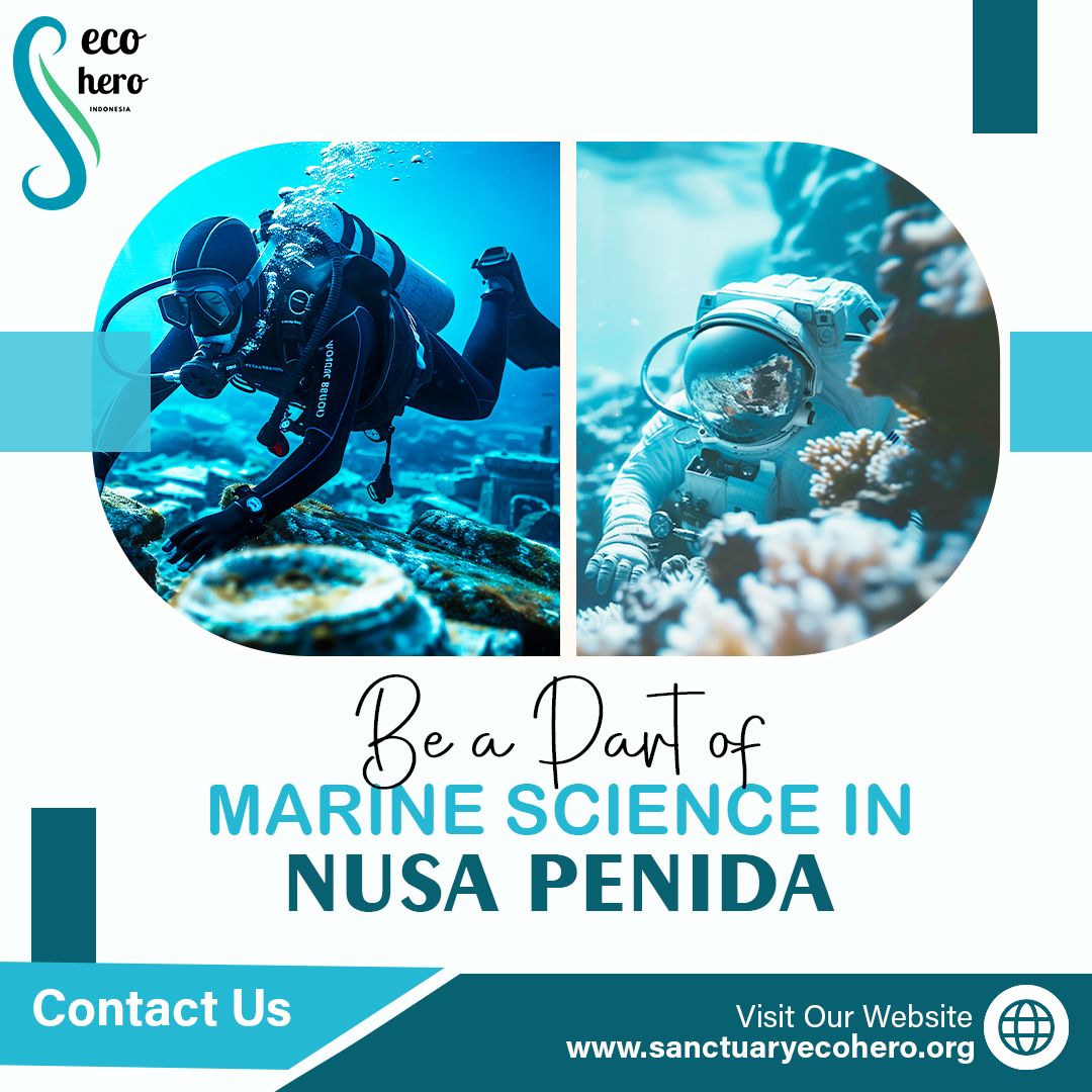 Be a Part of Marine Science in Nusa Penida