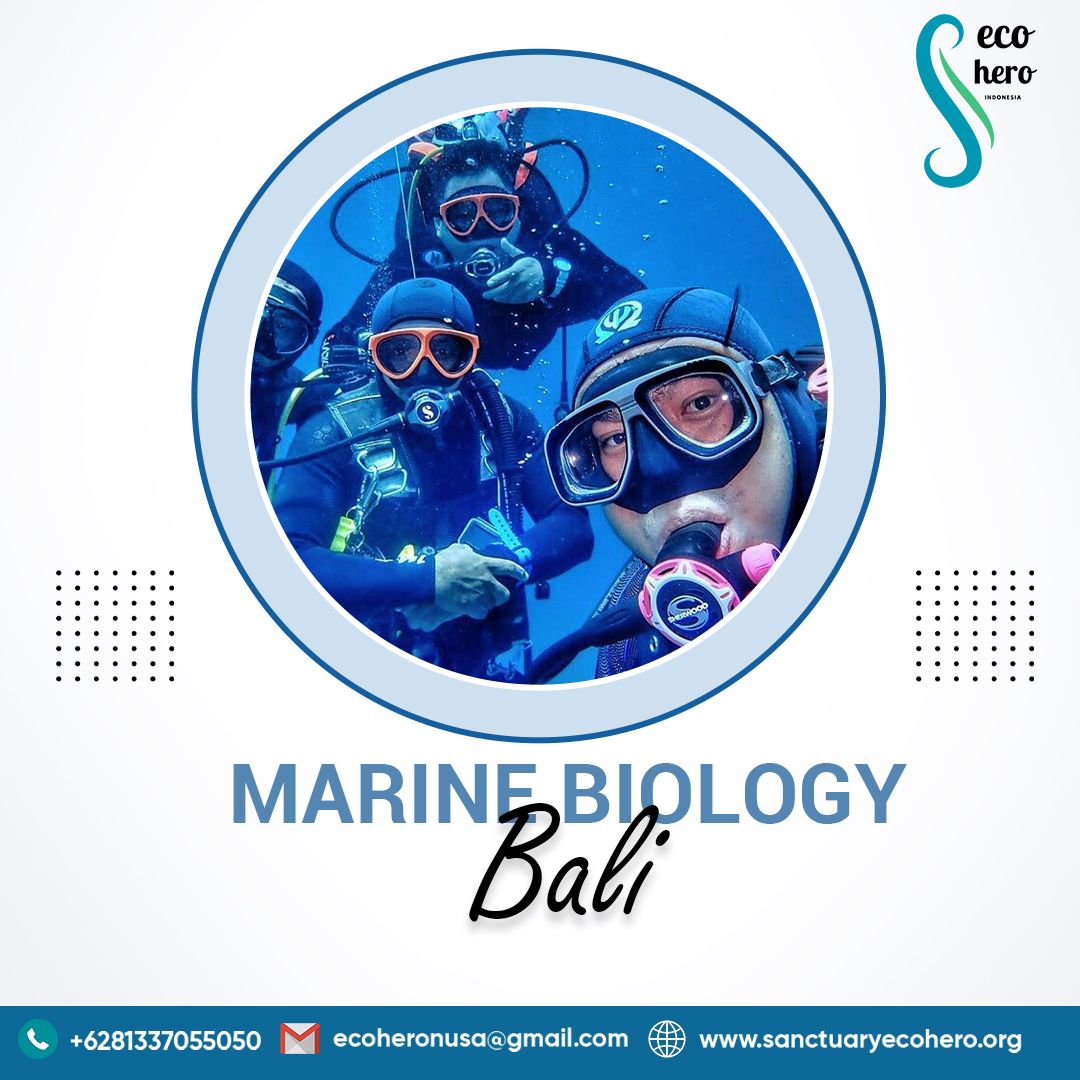 Marine biology bali