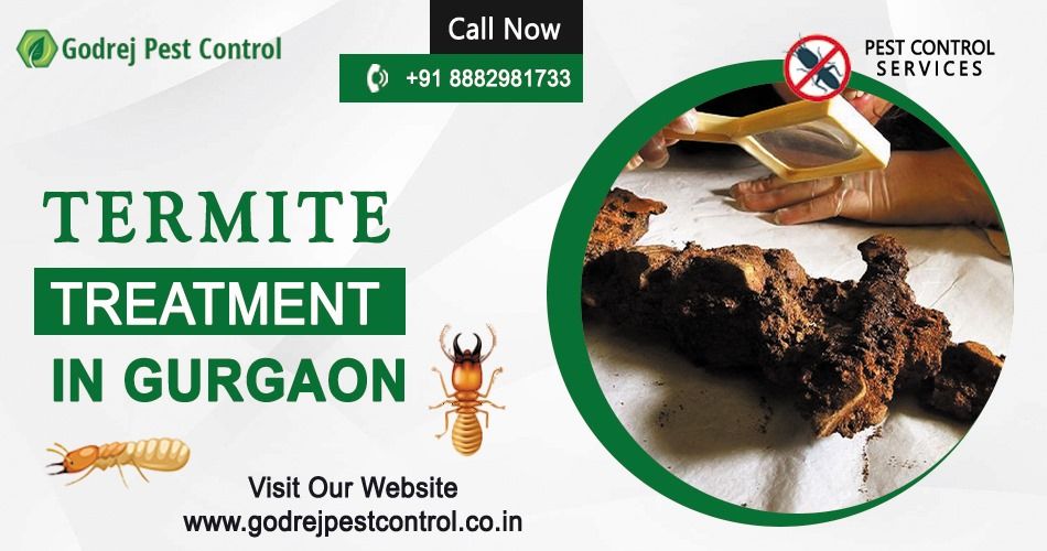 Effective Termite Treatment in Gurgaon – Godrej Pest Control