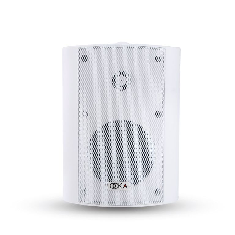Best Wall Mount Speaker for Home by Ooka Audio