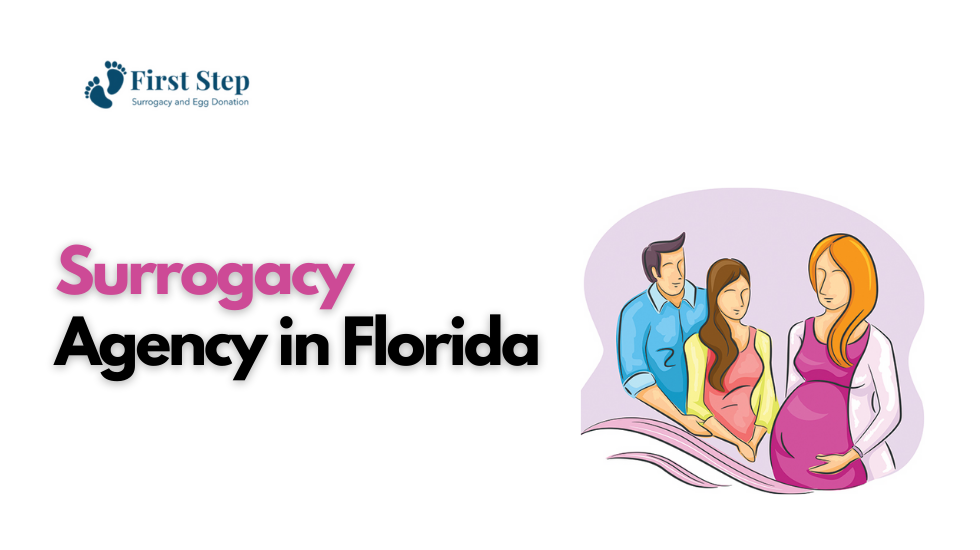 Best and affordable surrogacy agency in Florida